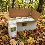 Bio-Kastanienmehl-Vorrat – 10 × 500 g